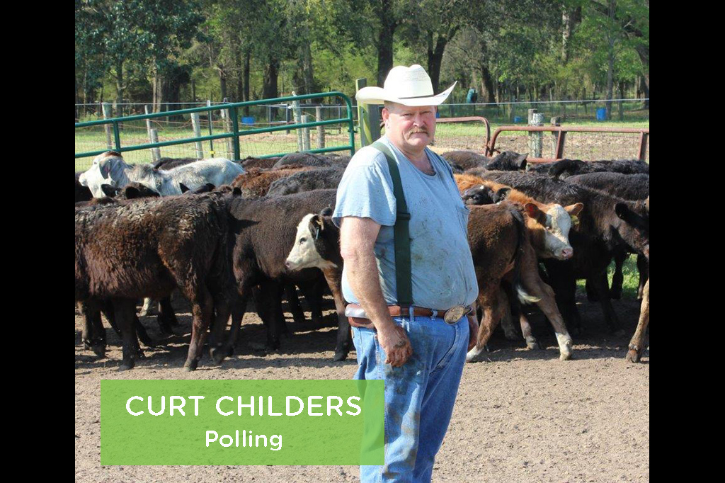 Curt Childers, Polling